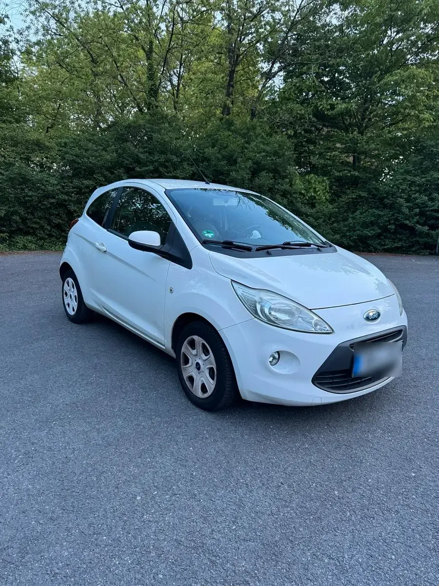 Usata Ford Ka 69 CV (50 kW) 2009 Bianco Utilitaria