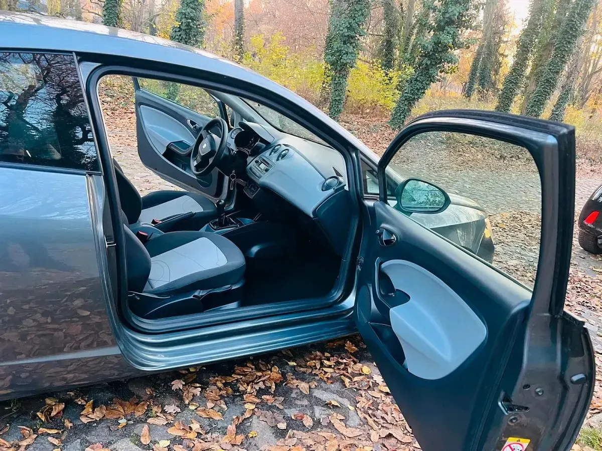 Gebraucht Seat Ibiza Style 51 PS (37 kW) 2014 Grau Kleinwagen