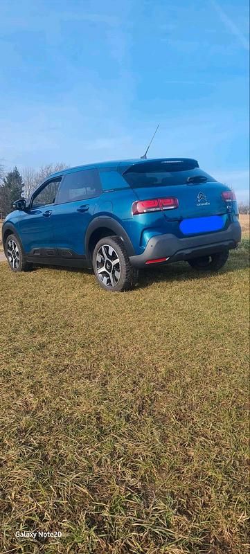 Gebraucht Citroën C4 Cactus Shine 110 PS (80 kW) 2019 Blau Kleinwagen
