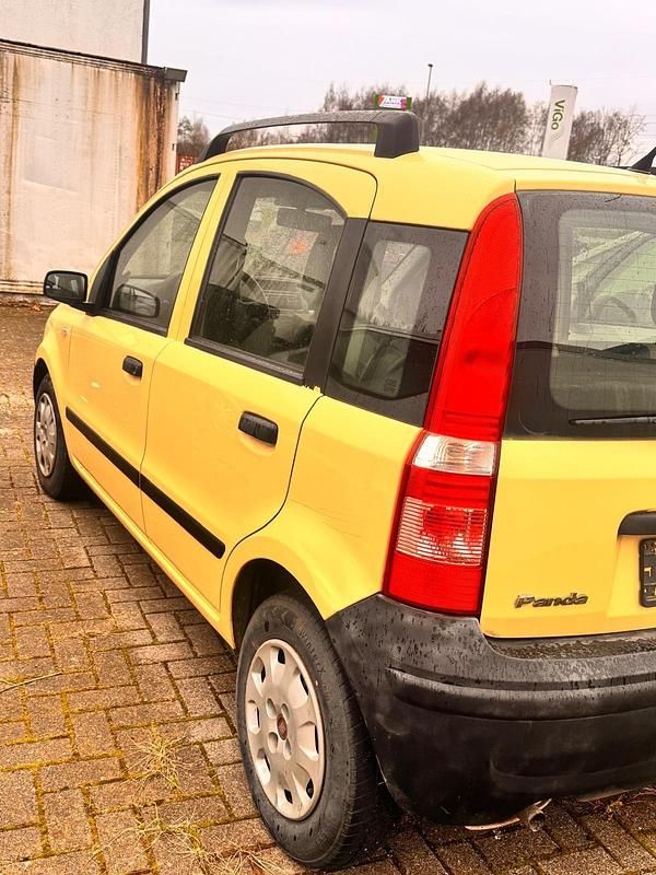 Gelb Gebraucht 2009 Fiat Panda Active Kleinwagen | 1.350 € (Guter Preis) - Bild 1/4