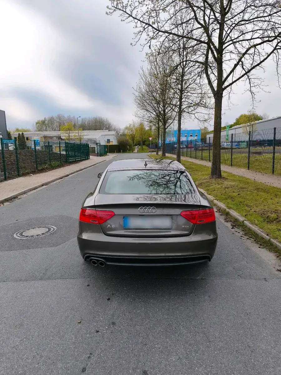 Gebraucht Audi A5 Sportback 150 PS (110 kW) 2016 Braun Kleinwagen