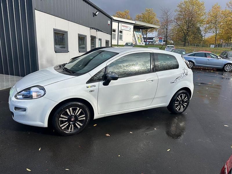 Gebraucht Fiat Punto Young 69 PS (50 kW) 2014 Weiß Kleinwagen