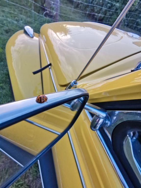 Gebraucht VW Käfer 44 PS (32 kW) 1972 Gelb Cabrio