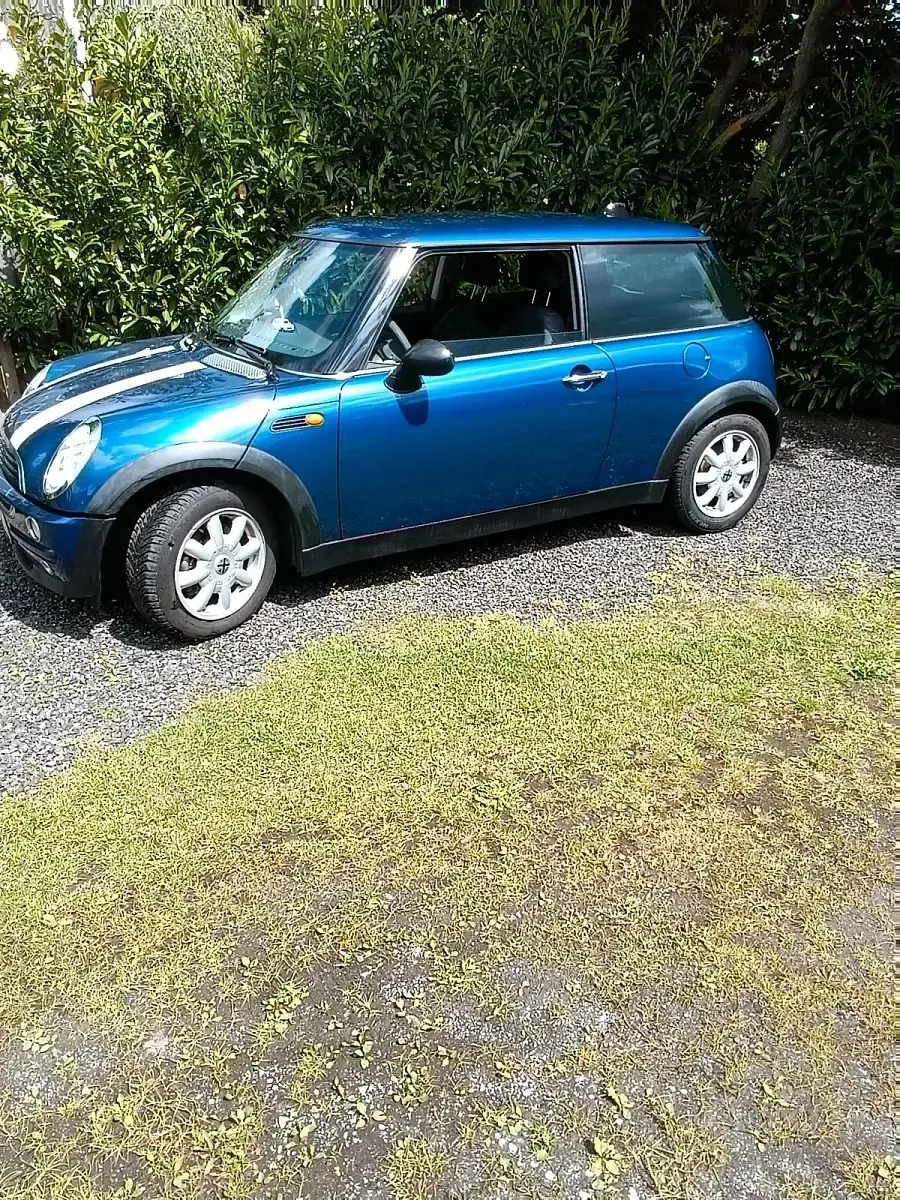 Käytetty Mini Cooper 90 HP (66 kW) 2001 Sininen Viistoperä