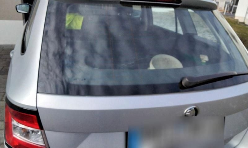 Gebraucht Skoda Fabia Joy 105 PS (77 kW) 2016 Silber Kleinwagen