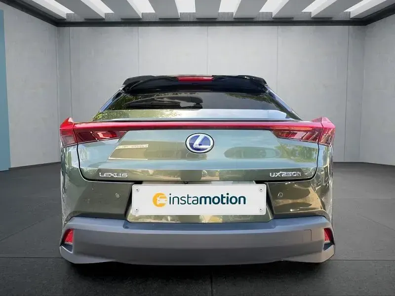 Gebraucht Lexus UX 250h 184 PS (135 kW) 2022 Grün SUV