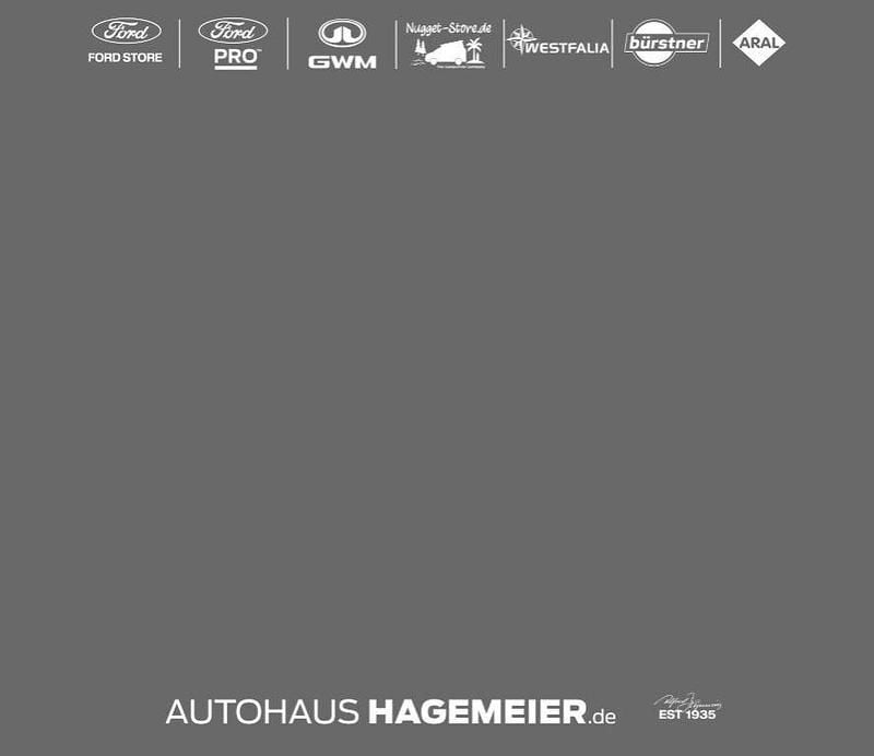 Gebraucht Ford Fiesta ST 200 PS (147 kW) 2019 Blau Kleinwagen