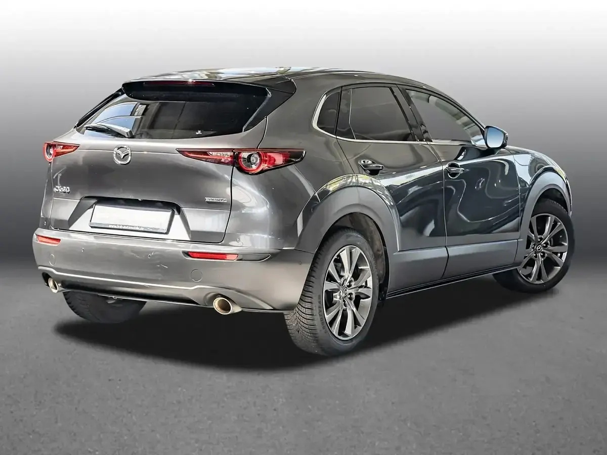 Gebraucht Mazda CX-30 Selection 179 PS (131 kW) 2021 Machine gray (grau) SUV