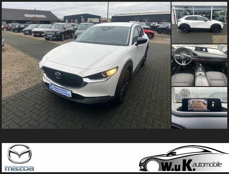 Weiß Gebraucht 2024 Mazda CX-30 Homura-Line SUV | 23.890 € (Guter Preis) - Bild 1/4