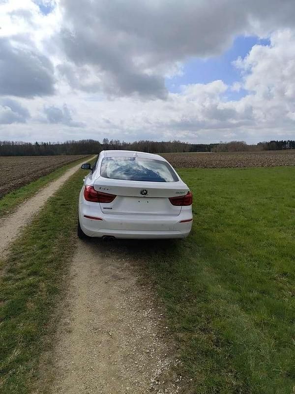 Gebraucht BMW 320 Advantage 184 PS (135 kW) 2017 Weiß Kleinwagen