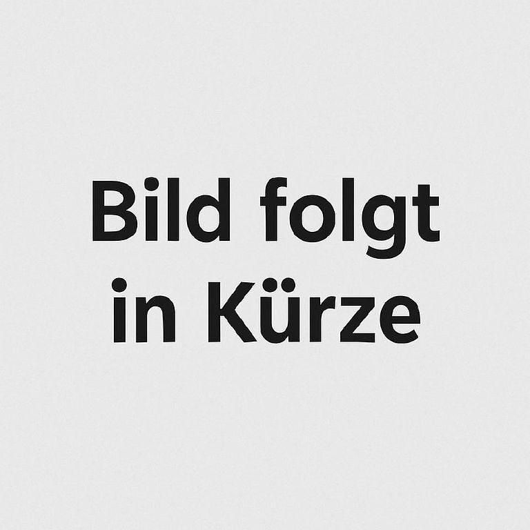 Gebraucht 2023 Fiat 500e Basis Cabrio | 18.990 € (Superpreis) - Bild 1/1