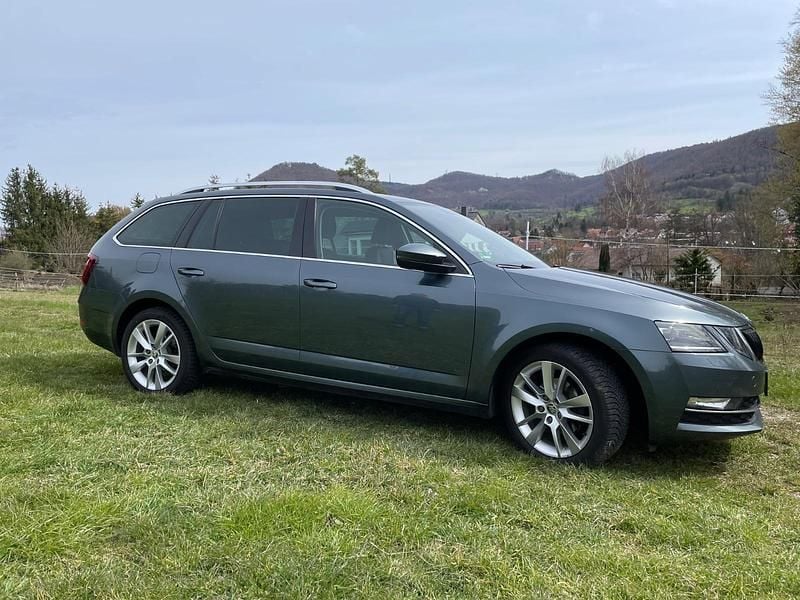 Second-hand Skoda Octavia 116 CP (85 kW) 2019 Gri Break