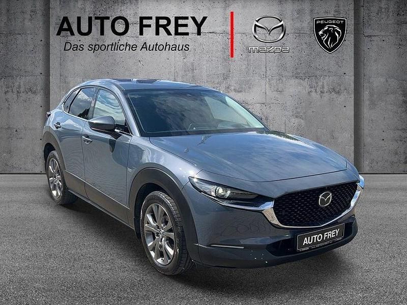 Gebraucht Mazda CX-30 Selection 179 PS (131 kW) 2020 Grau SUV