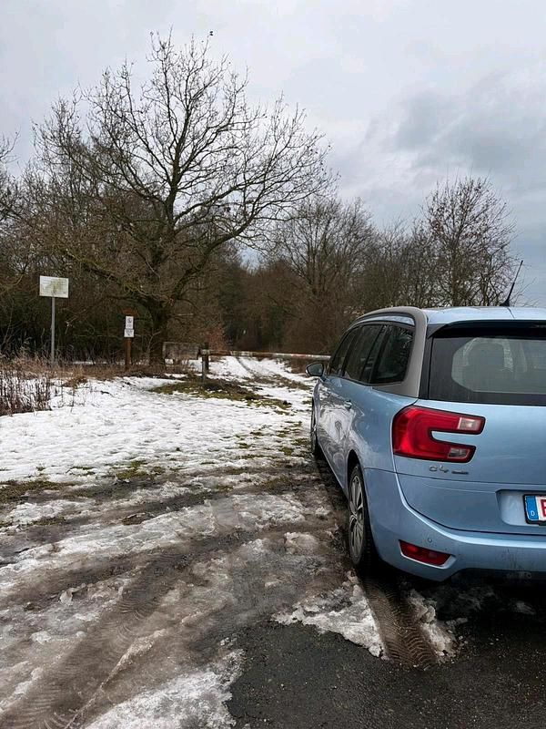 Gebraucht Citroën C4 Picasso 150 PS (110 kW) 2015 Blau Van / Kleinbus