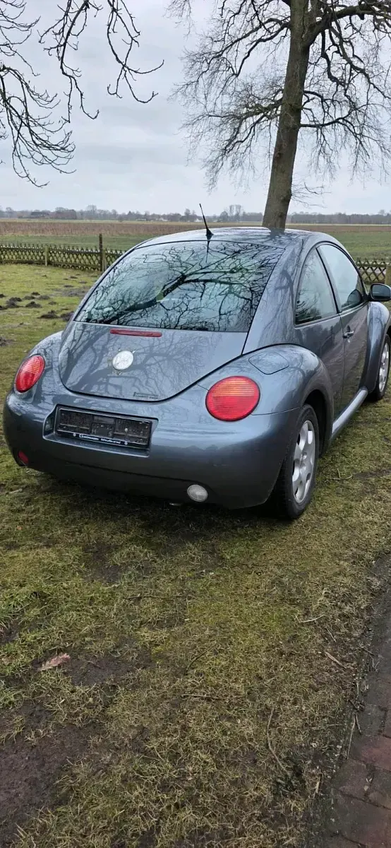 Gebraucht VW Beetle 75 PS (55 kW) 2003 Grau Kleinwagen