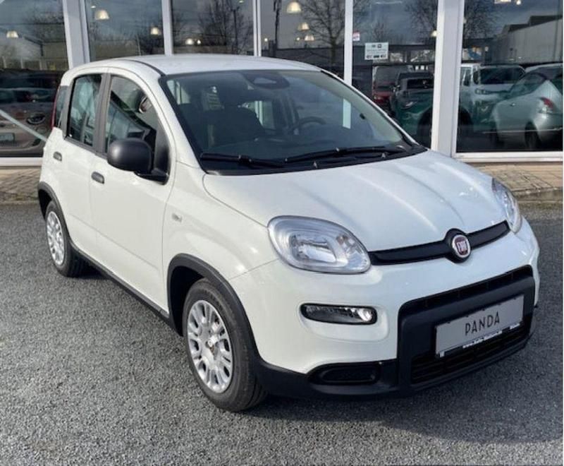 Gebraucht Fiat Panda 69 PS (50 kW) 2024 Weiß Kleinwagen