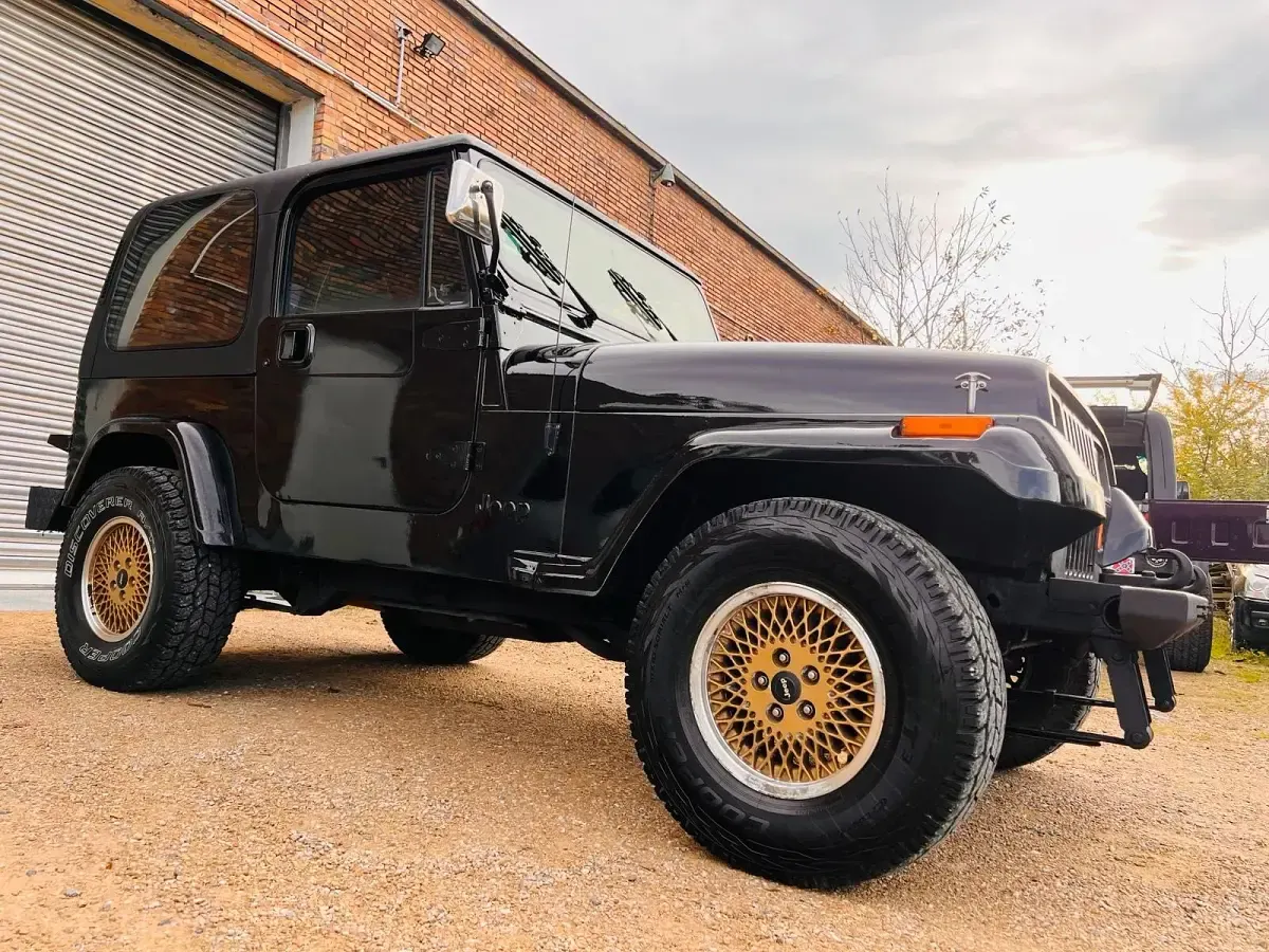 Usata Jeep Wrangler 177 CV (130 kW) 1994 Nero SUV