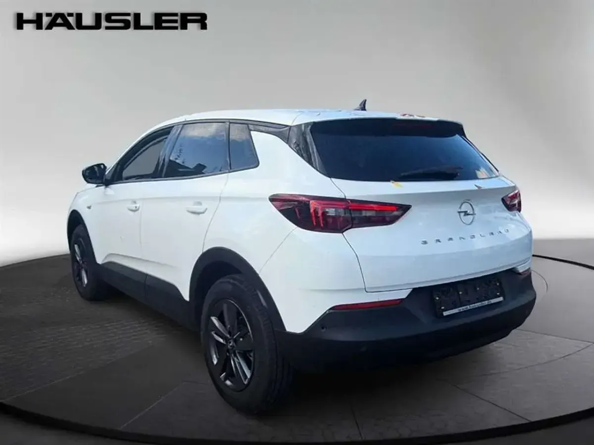Gebraucht Opel Grandland X 131 PS (96 kW) 2022 Jade weiß (uni) SUV