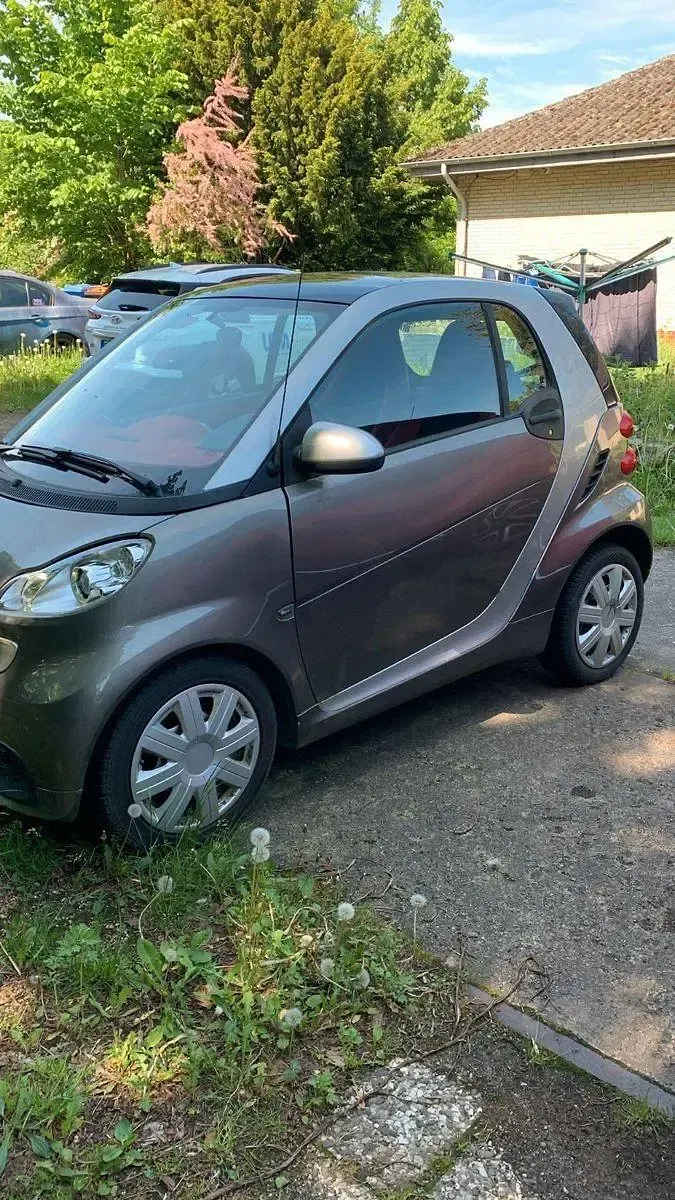 Occasion Smart ForTwo Coupé 71 ch (52 kW) 2011 Marron Coupé