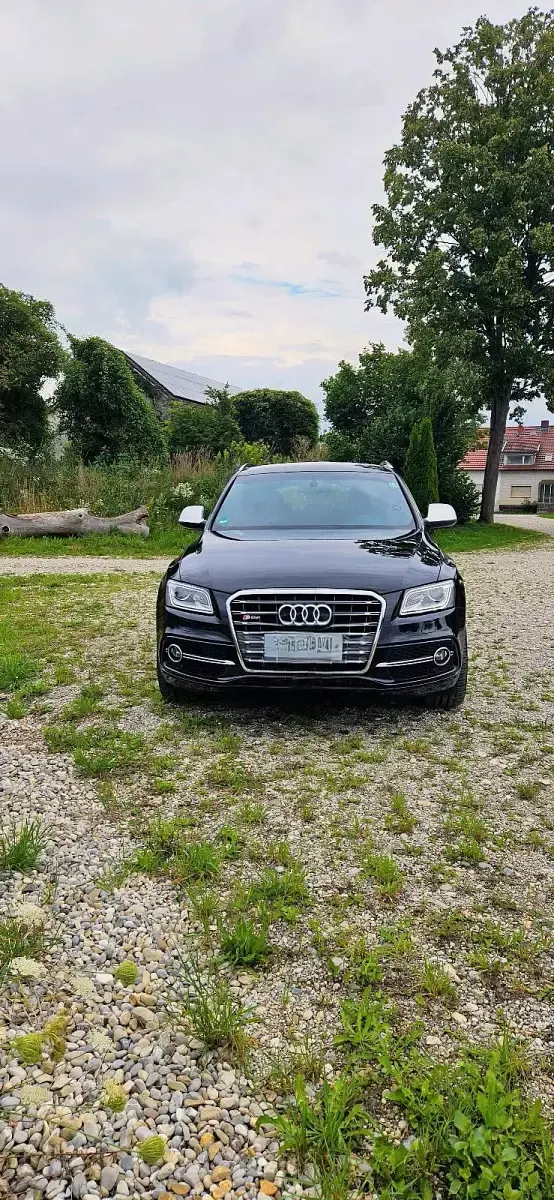 Gebraucht Audi SQ5 313 PS (230 kW) 2013 Schwarz SUV