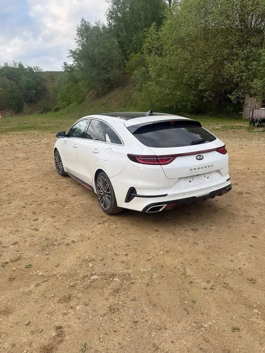 Gebraucht Kia ProCeed GT 204 PS (150 kW) 2019 Weiß Kombi