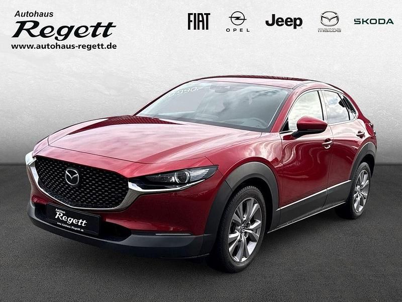 Gebraucht Mazda CX-30 Selection 122 PS (89 kW) 2020 Rot SUV