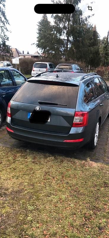 Gebraucht Skoda Octavia GreenLine 110 PS (80 kW) 2016 Grau Kleinwagen