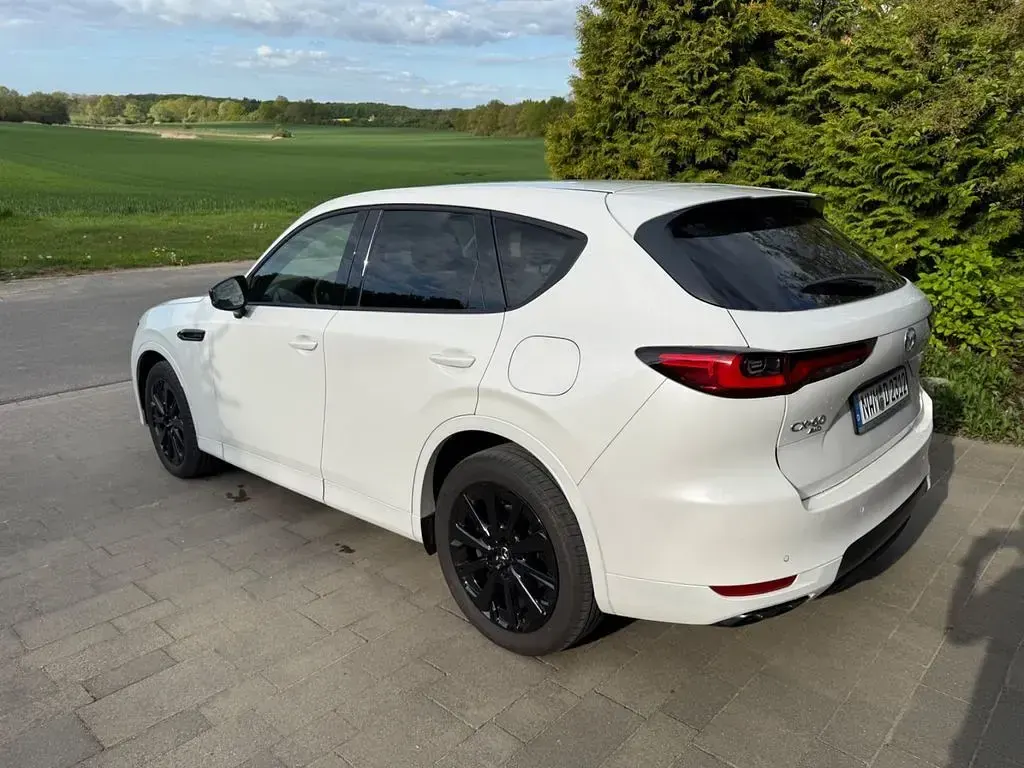 Gebraucht Mazda CX-60 Homura-Line 254 PS (186 kW) 2024 Weiß SUV