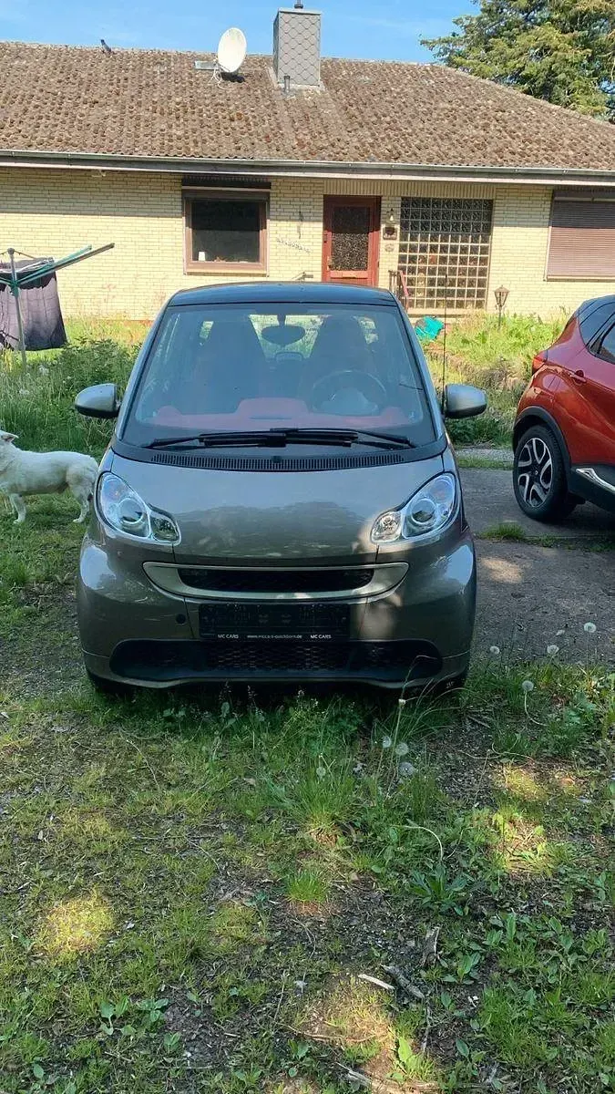 Occasion Smart ForTwo Coupé 71 ch (52 kW) 2011 Marron Coupé