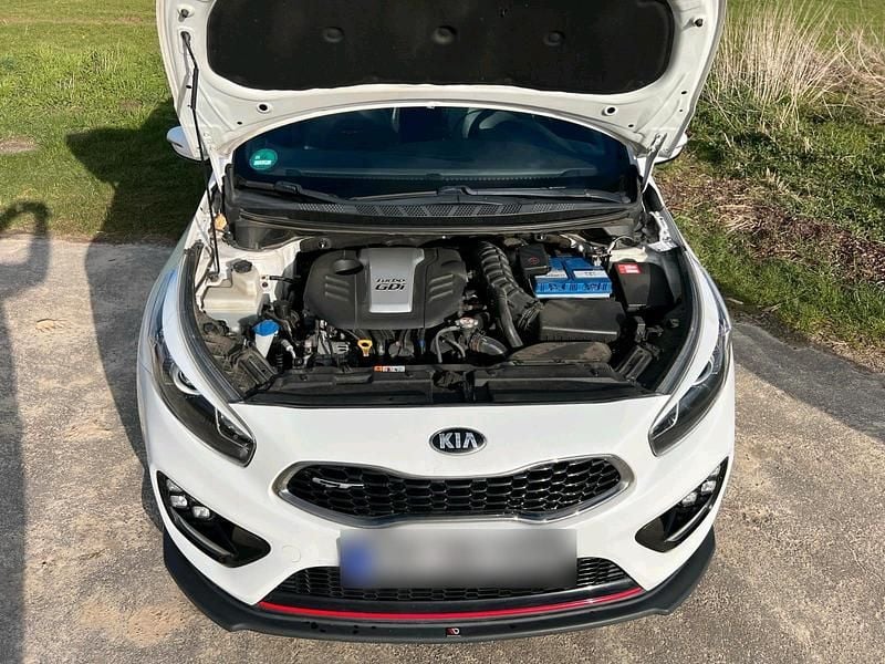 Gebraucht Kia ProCeed GT-Challenge 204 PS (150 kW) 2014 Weiß Kleinwagen