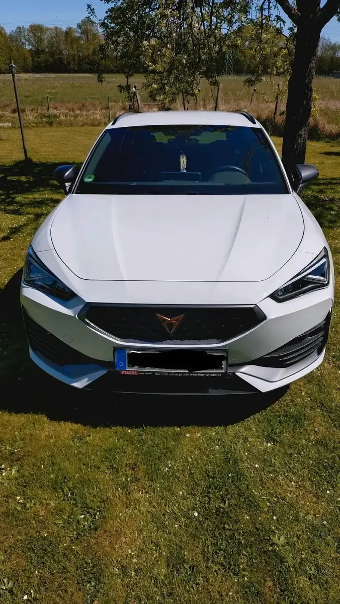 Gebraucht Cupra Leon 190 PS (139 kW) 2024 Weiß Kombi
