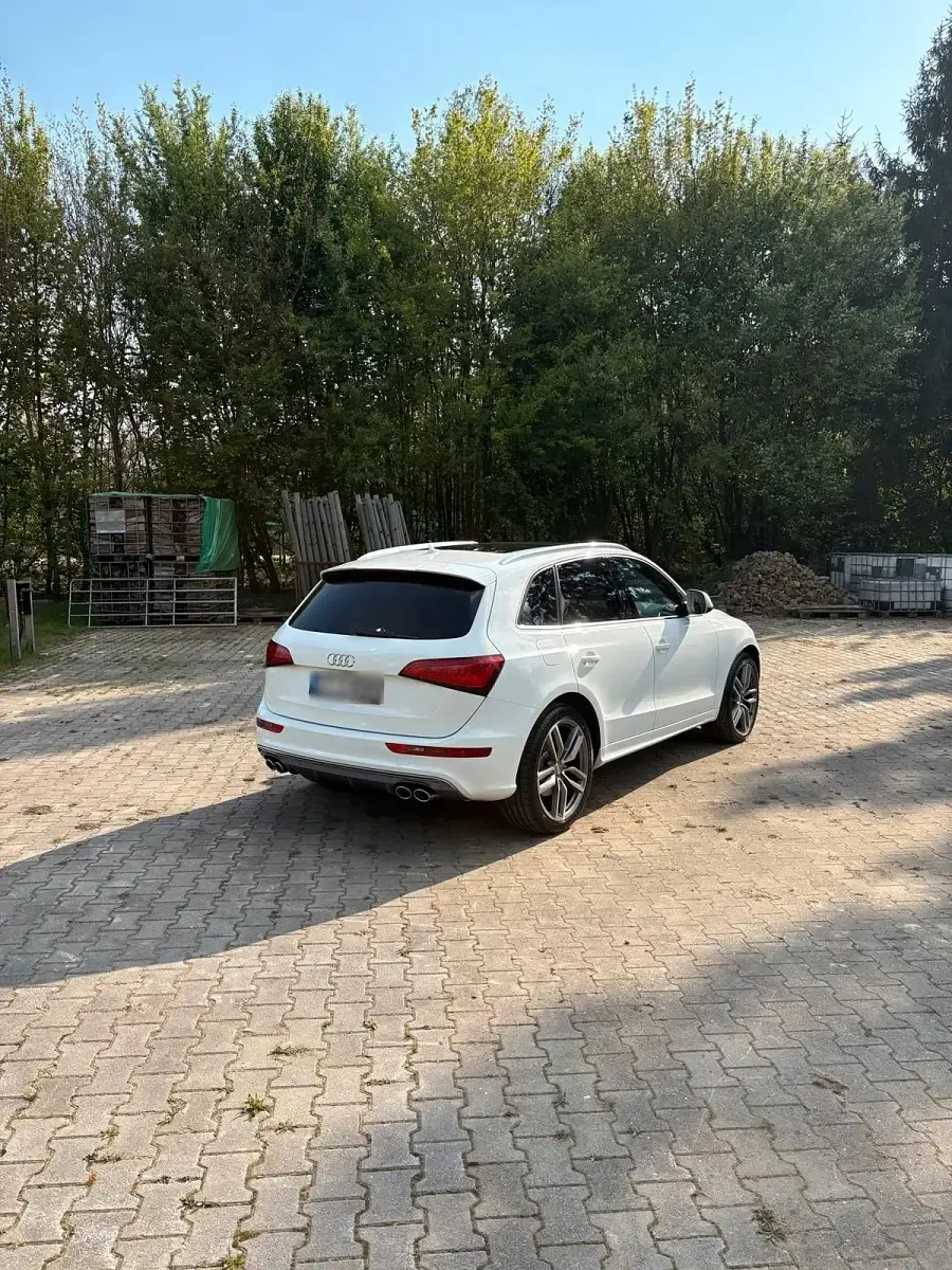 Gebraucht Audi SQ5 Comfort 313 PS (230 kW) 2014 Weiß SUV