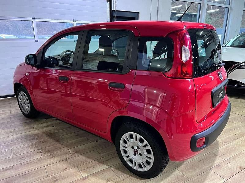 Gebraucht Fiat Panda Easy 69 PS (50 kW) 2018 Rot Kleinwagen