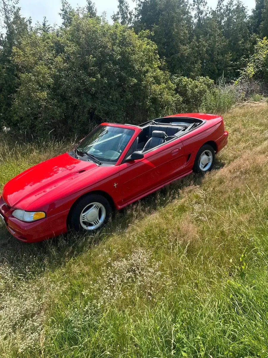 Gebraucht Ford Mustang 144 PS (105 kW) 1996 Rot Cabrio