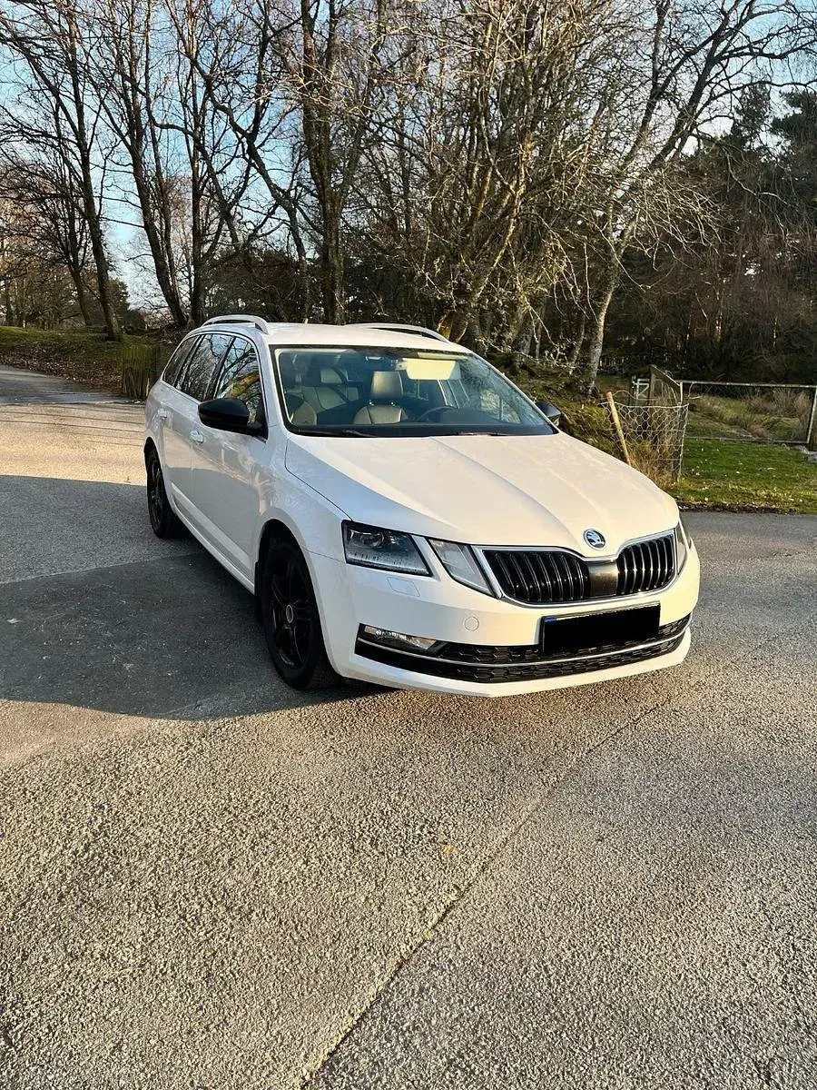 Gebraucht Skoda Octavia LAURIN & KLEMENT 184 PS (135 kW) 2018 Weiß Kombi