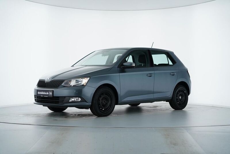 Quarzgrau metallic Gebraucht 2018 Skoda Fabia Cool Plus Kleinwagen | 9.489 € (Fairer Preis) - Bild 1/4