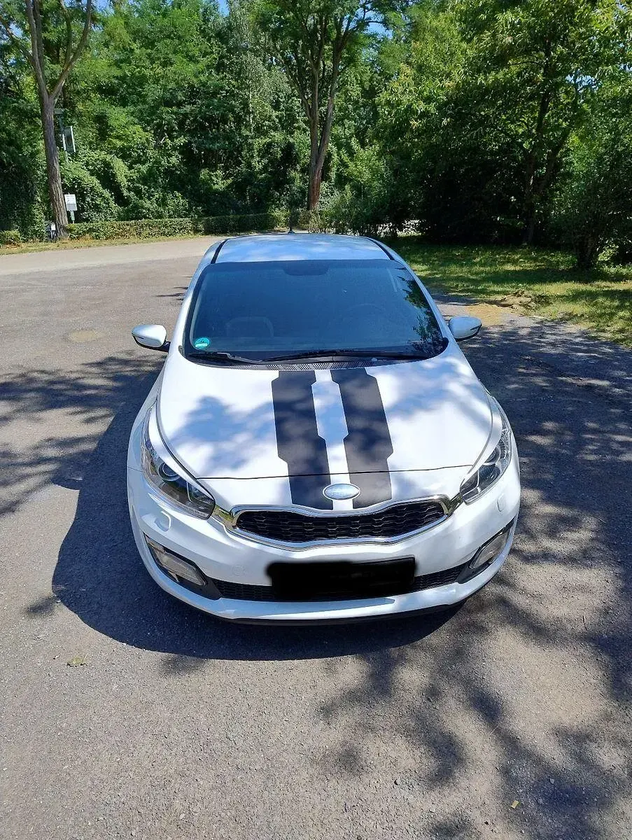 Gebraucht Kia Ceed Spirit 135 PS (99 kW) 2013 Weiß Kleinwagen