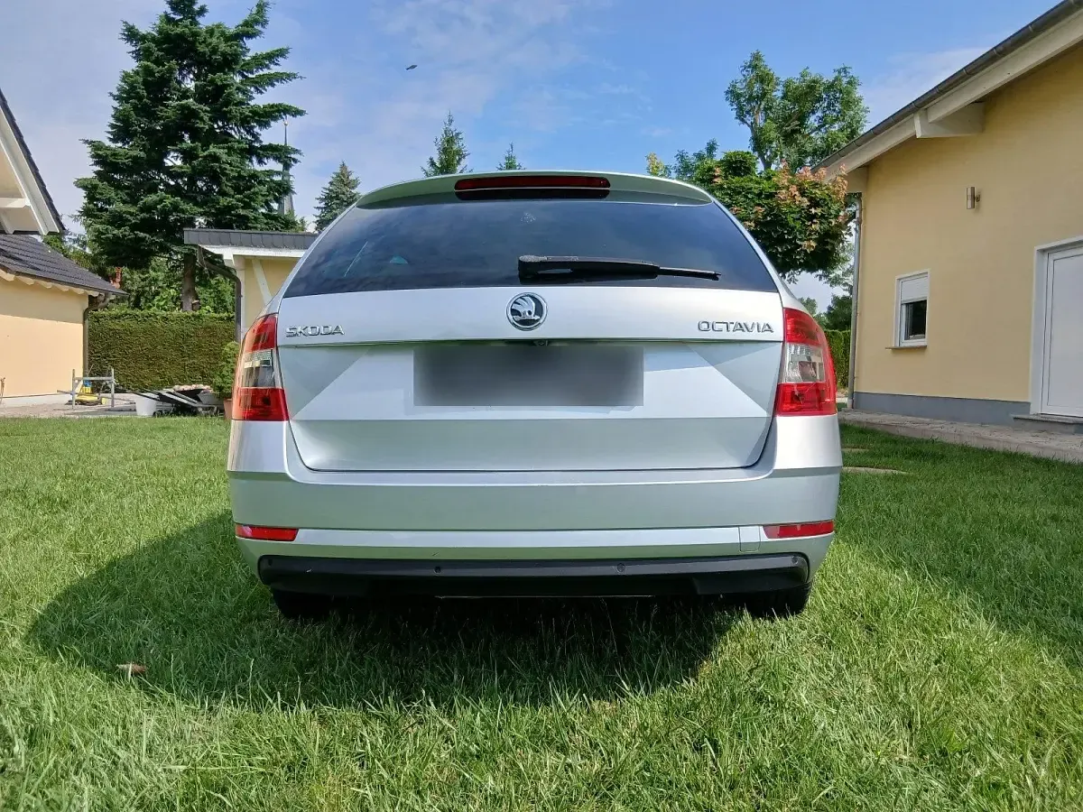 Gebraucht Skoda Octavia 116 PS (85 kW) 2019 Silber Kombi