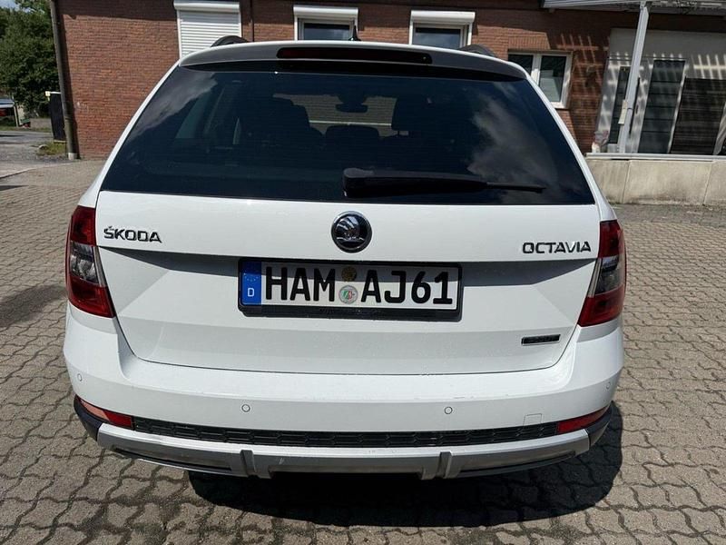 Gebraucht Skoda Octavia Scout 150 PS (110 kW) 2019 Weiß Kombi