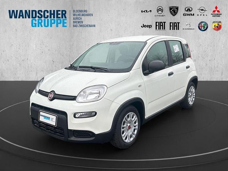 Weißandere Gebraucht 2024 Fiat Panda Basis Kleinwagen | 11.890 € (Guter Preis) - Bild 1/4