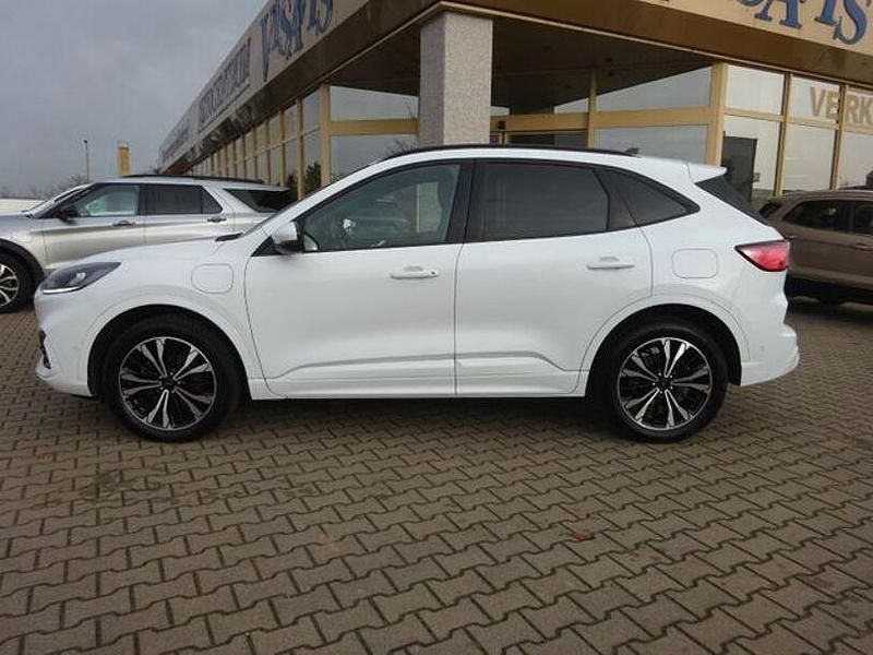Gebraucht Ford Kuga ST-Line 152 PS (111 kW) 2021 Weiß SUV