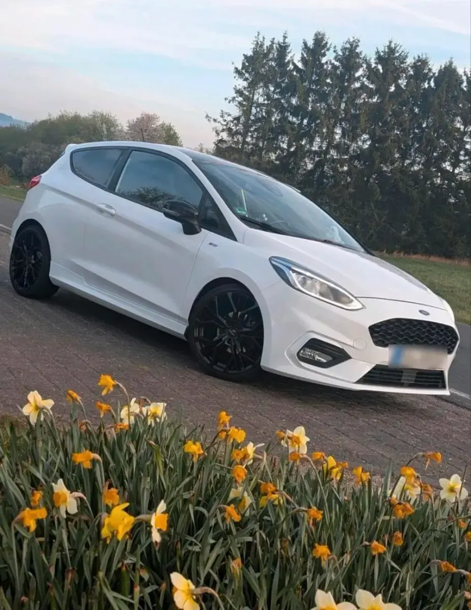 Gebraucht Ford Fiesta ST-Line 140 PS (102 kW) 2018 Weiß Kleinwagen