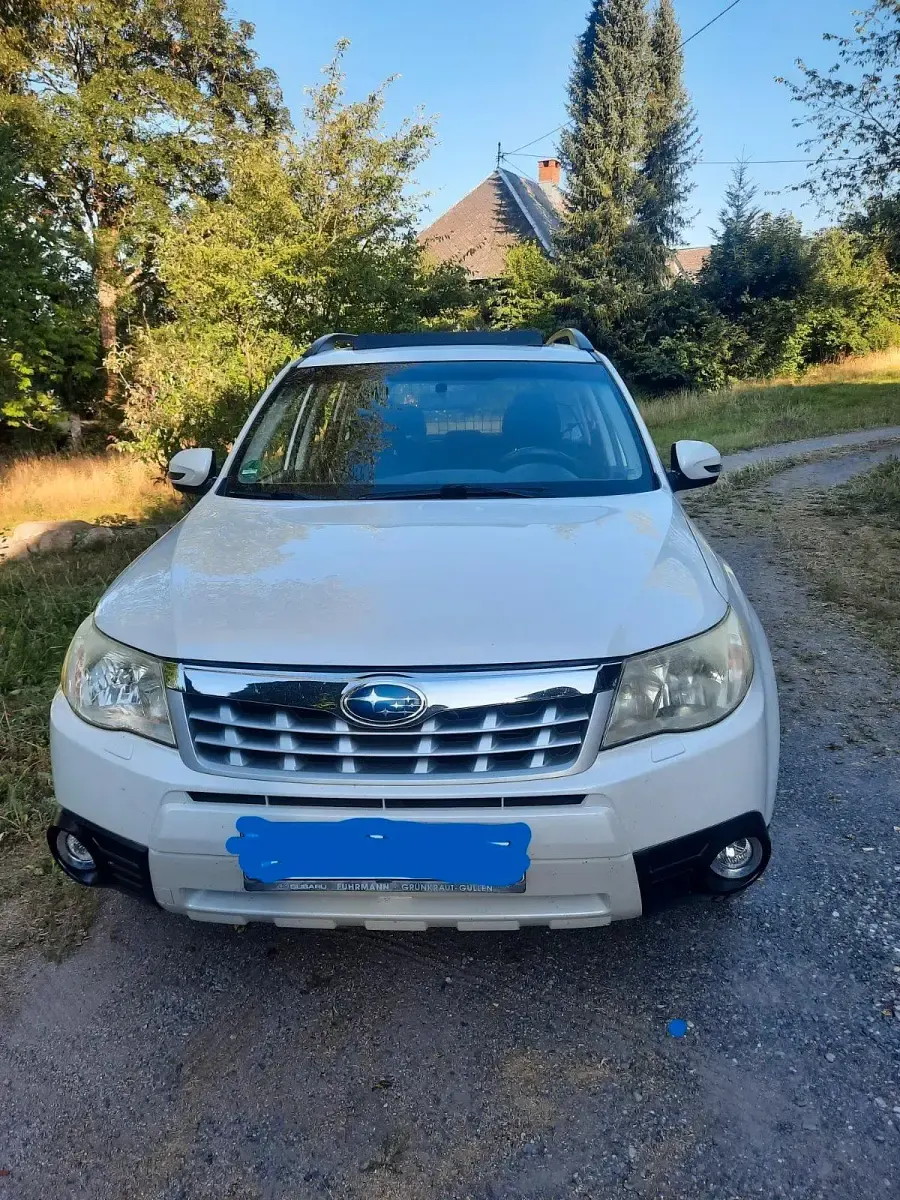 Gebraucht Subaru Forester 150 PS (110 kW) 2012 Weiß SUV