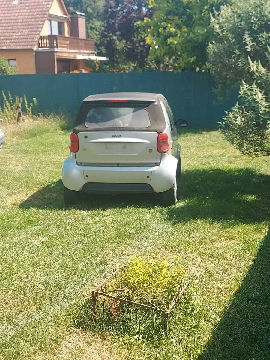 Gebraucht Smart ForTwo Cabrio 61 PS (44 kW) 2003 Silber Cabrio