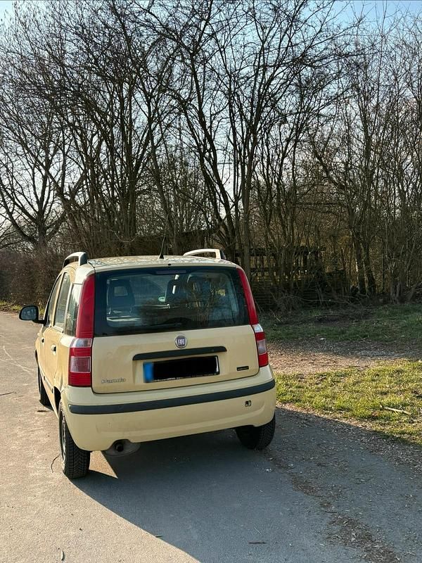 Gebraucht Fiat Panda 54 PS (39 kW) 2012 Gelb Kleinwagen
