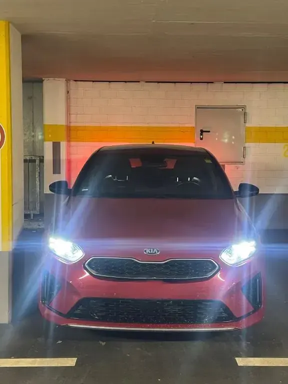 Gebraucht Kia ProCeed GT-Line 136 PS (100 kW) 2020 Rot Kombi