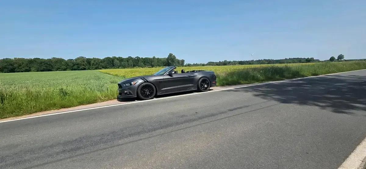 Gebraucht Ford Mustang 421 PS (309 kW) 2017 Grau Cabrio