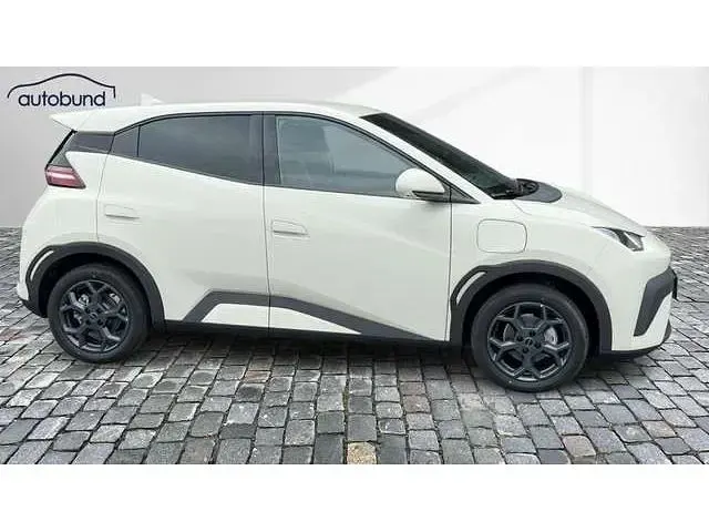 Neu BYD Dolphin Comfort 114 kW (156 PS) 2026 Kleinwagen