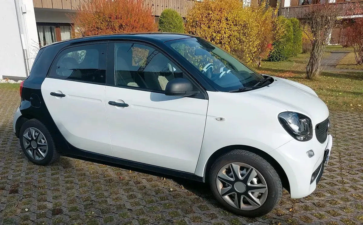 Usata Smart ForFour 71 CV (52 kW) 2016 Bianco Utilitaria