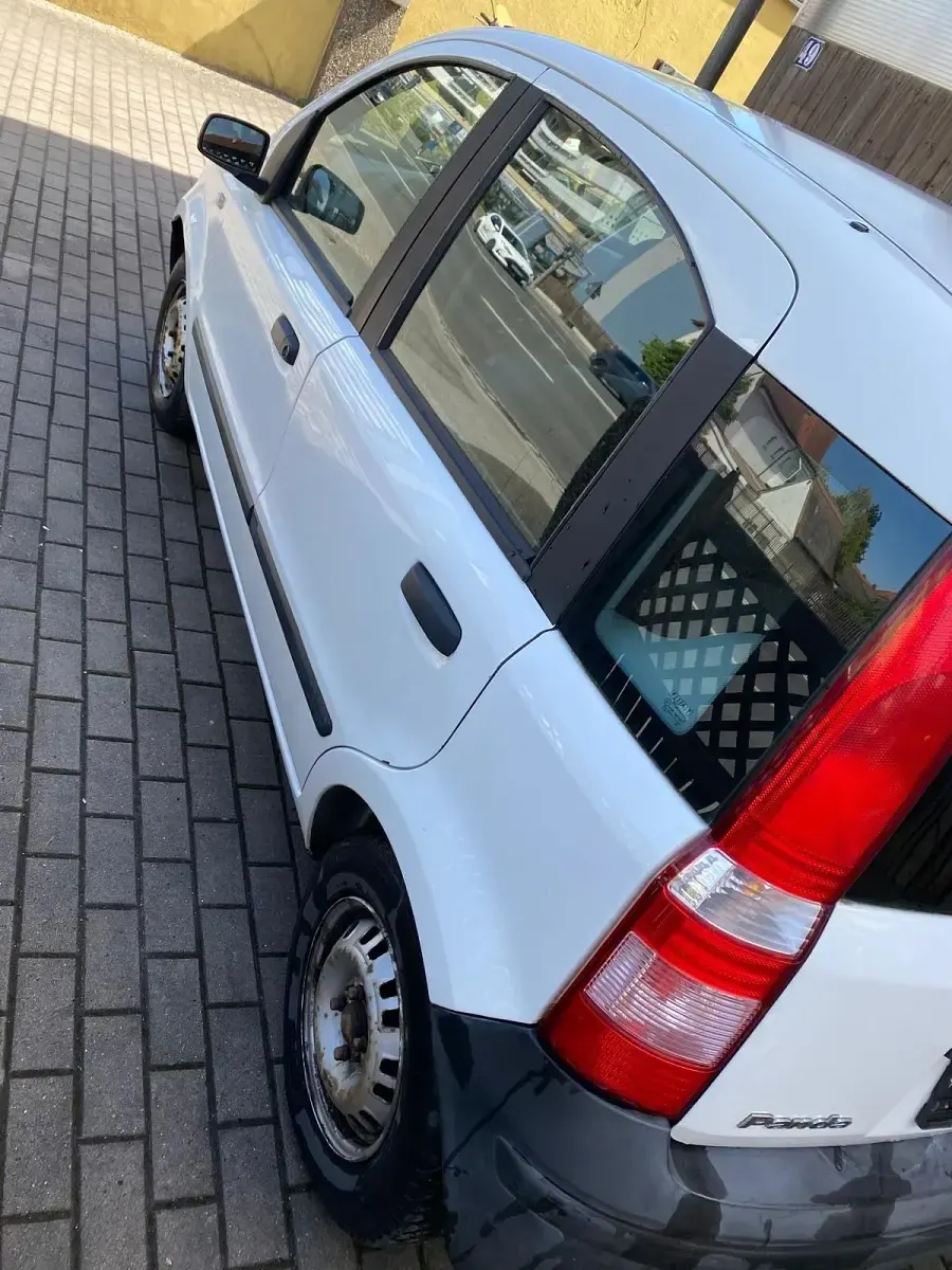 Occasion Fiat Panda 54 ch (39 kW) 2005 Blanc Citadine